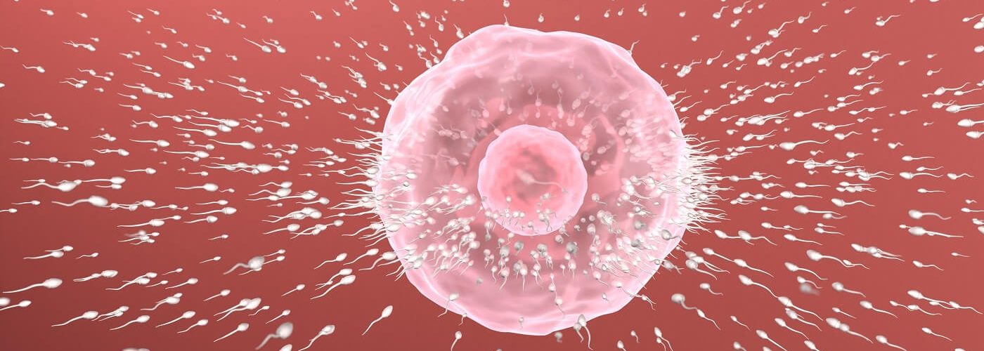 Oligospermia: What Is It And What Are The Causes