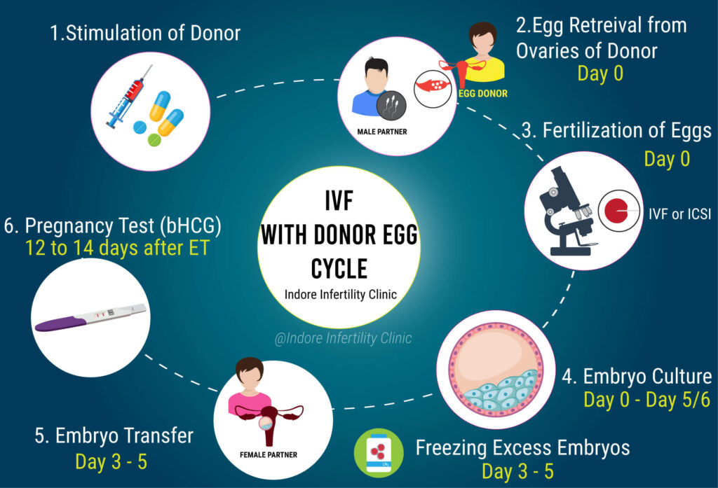 Donor IVF Programme