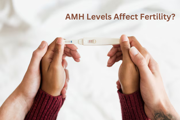 AMH Levels Affect Fertility?