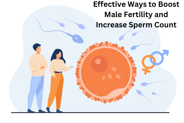 Effective Ways to Boost Male Fertility and Increase Sperm Count