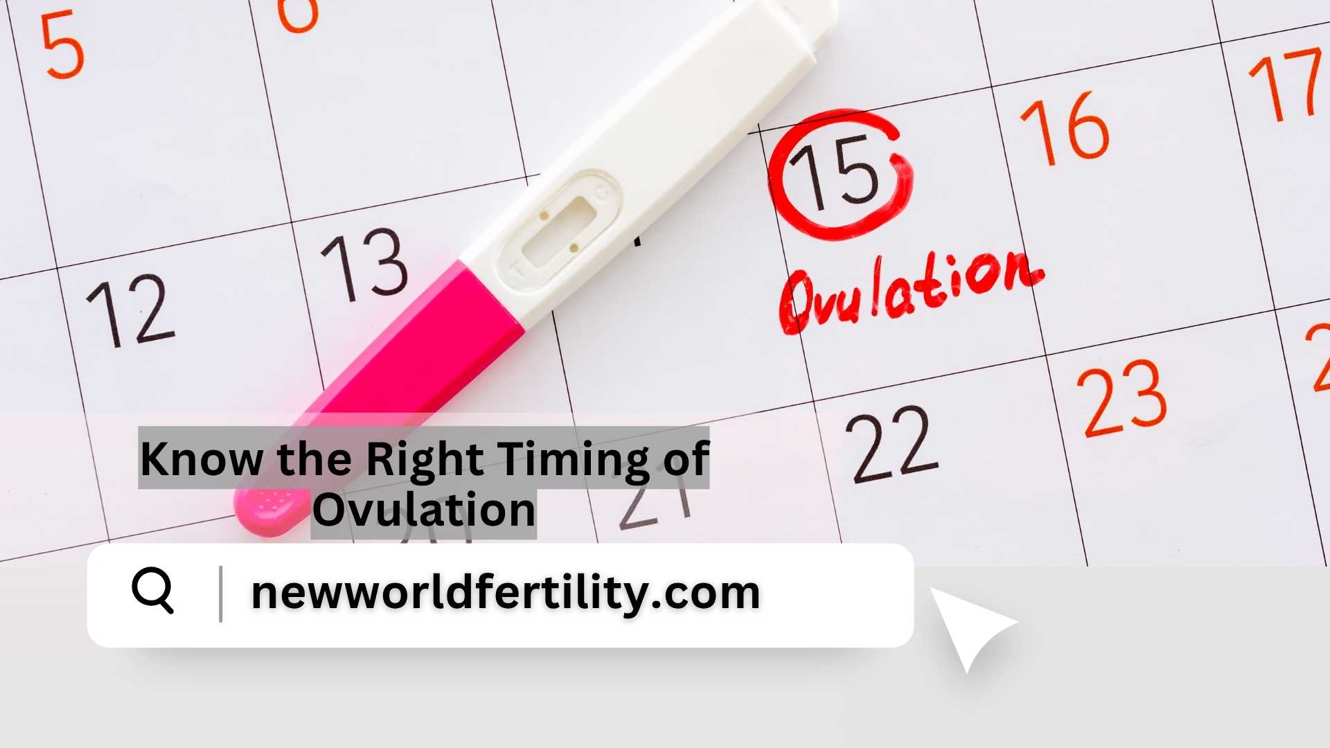 Know the Right Timing of Ovulation (2025)