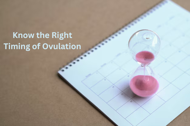 Know the Right Timing of Ovulation (2025)