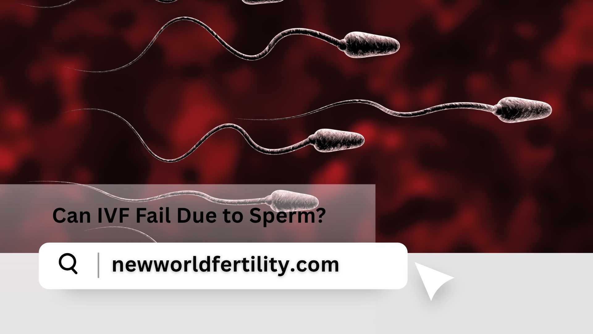 Can IVF Fail Due to Sperm?