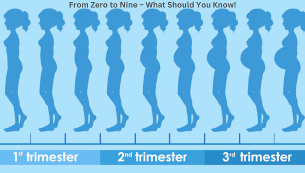 From Zero to Nine – What Should You Know! | New World Fertility