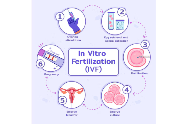 Best IVF Centre in Srinagar