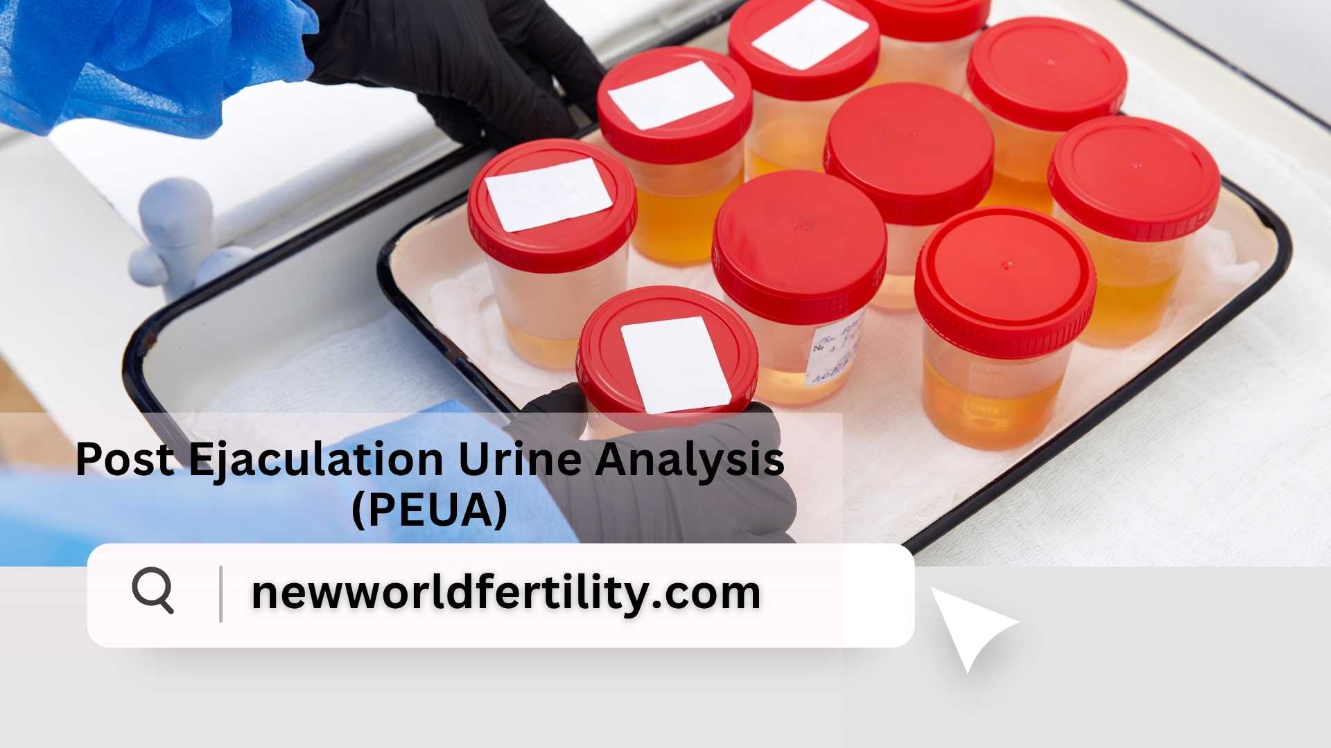 What is Post Ejaculation Urine Analysis (PEUA)?