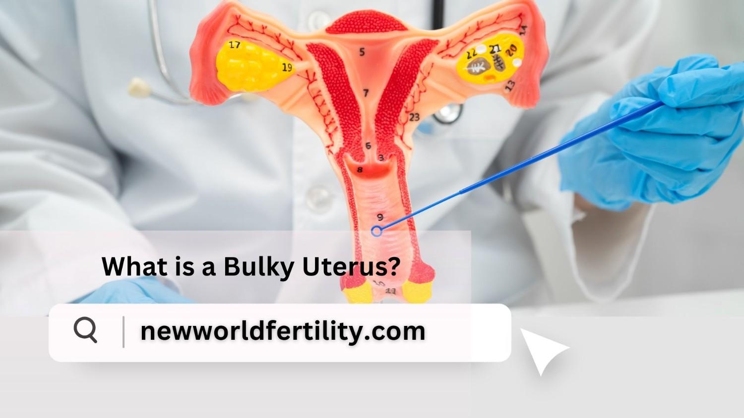 What is a Bulky Uterus?