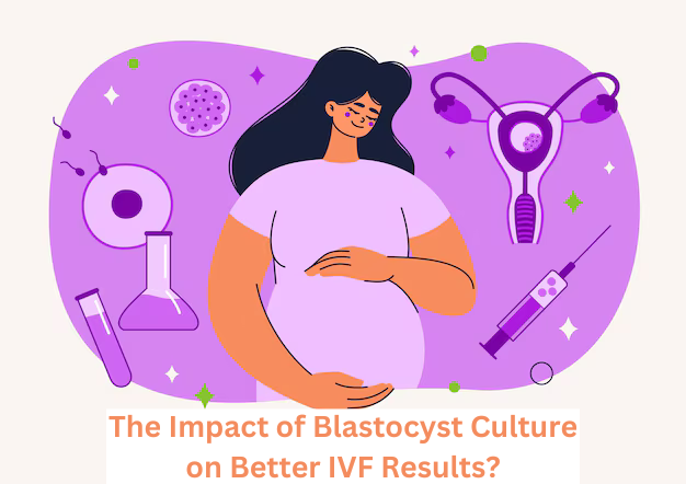 The Impact of Blastocyst Culture on better IVF Results?