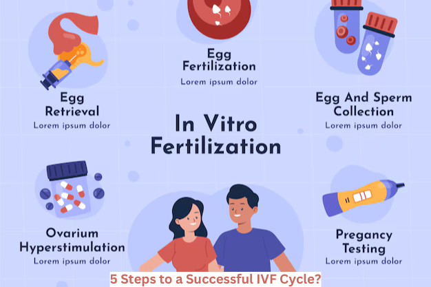 5 Steps to a Successful IVF Cycle?