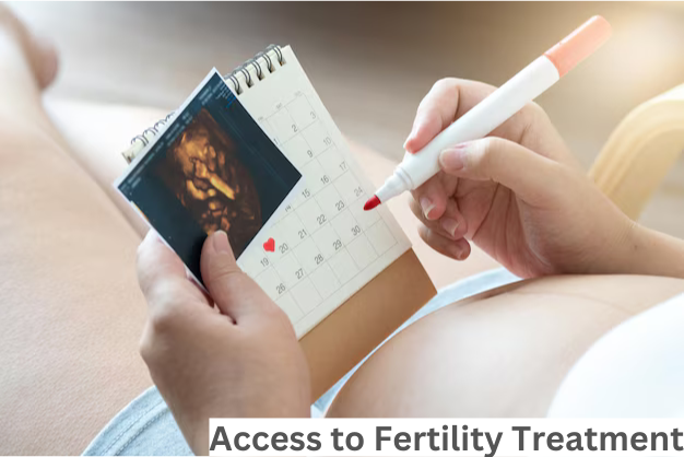 Access to Fertility Treatment
