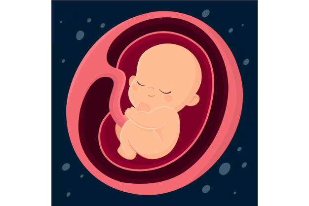 Best IVF Centre in North Delhi | New World Fertility
