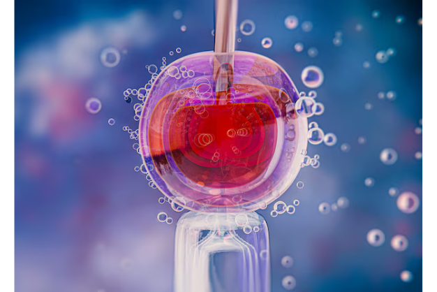 Best IVF Centre in Muzaffarnagar