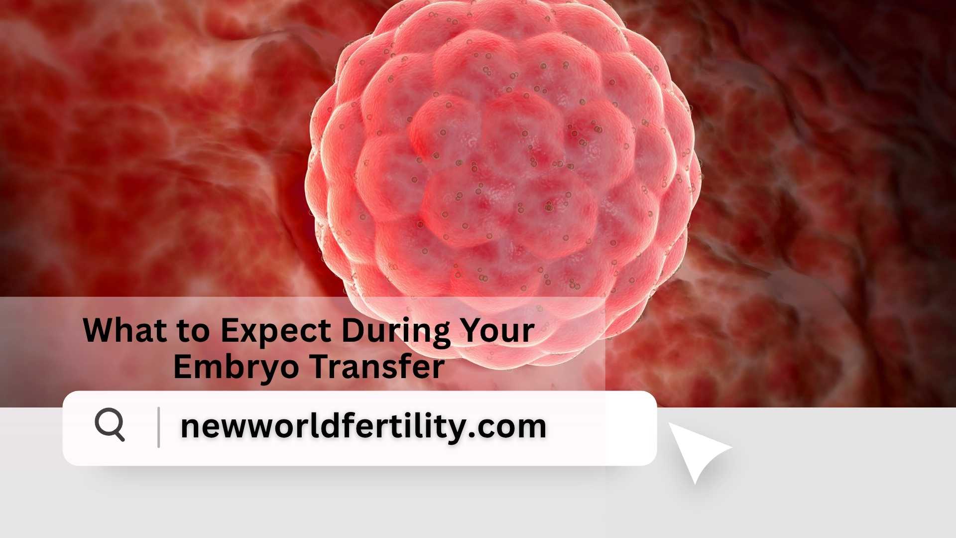 What to Expect During Your Embryo Transfer: 2025 Guide