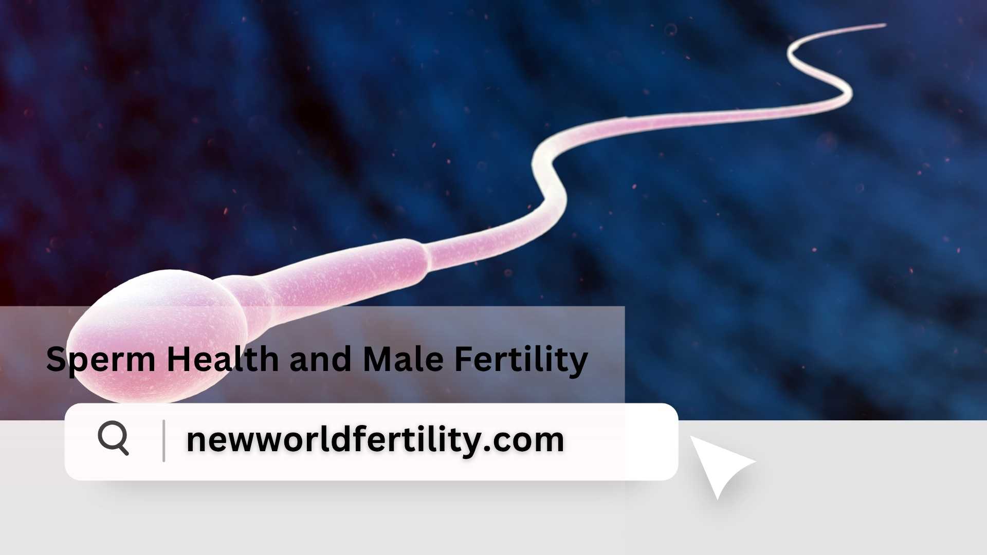 Sperm Health and Male Fertility: Tips to Improve Sperm Count and Quality Naturally