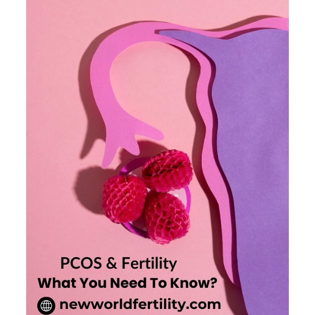 PCOS and Fertility: Practical Strategies for Effective Management