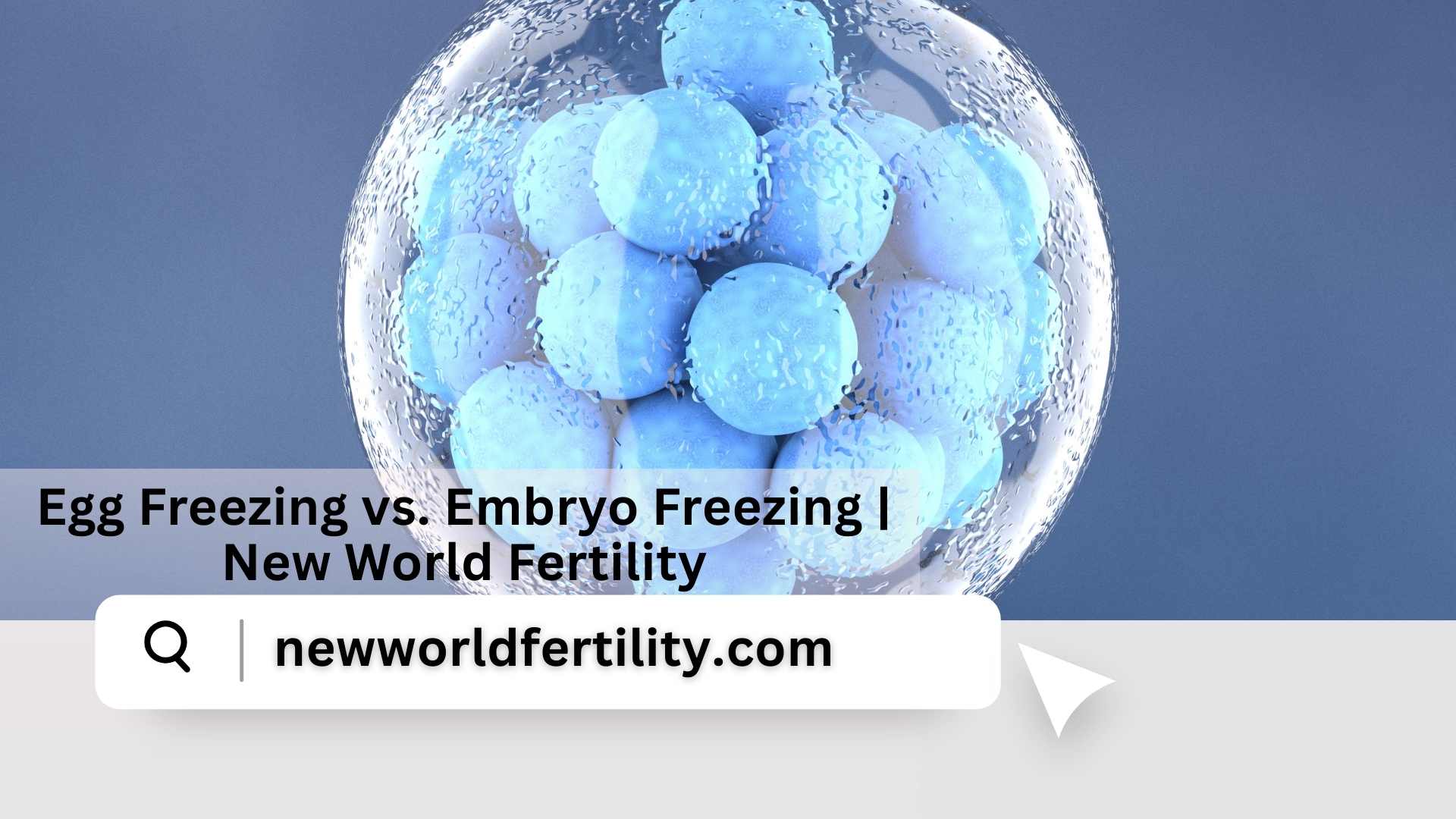 Egg Freezing vs. Embryo Freezing | New World Fertility