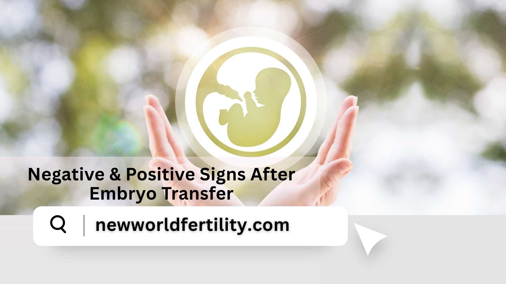Negative & Positive Signs After Embryo Transfer | New World Fertility