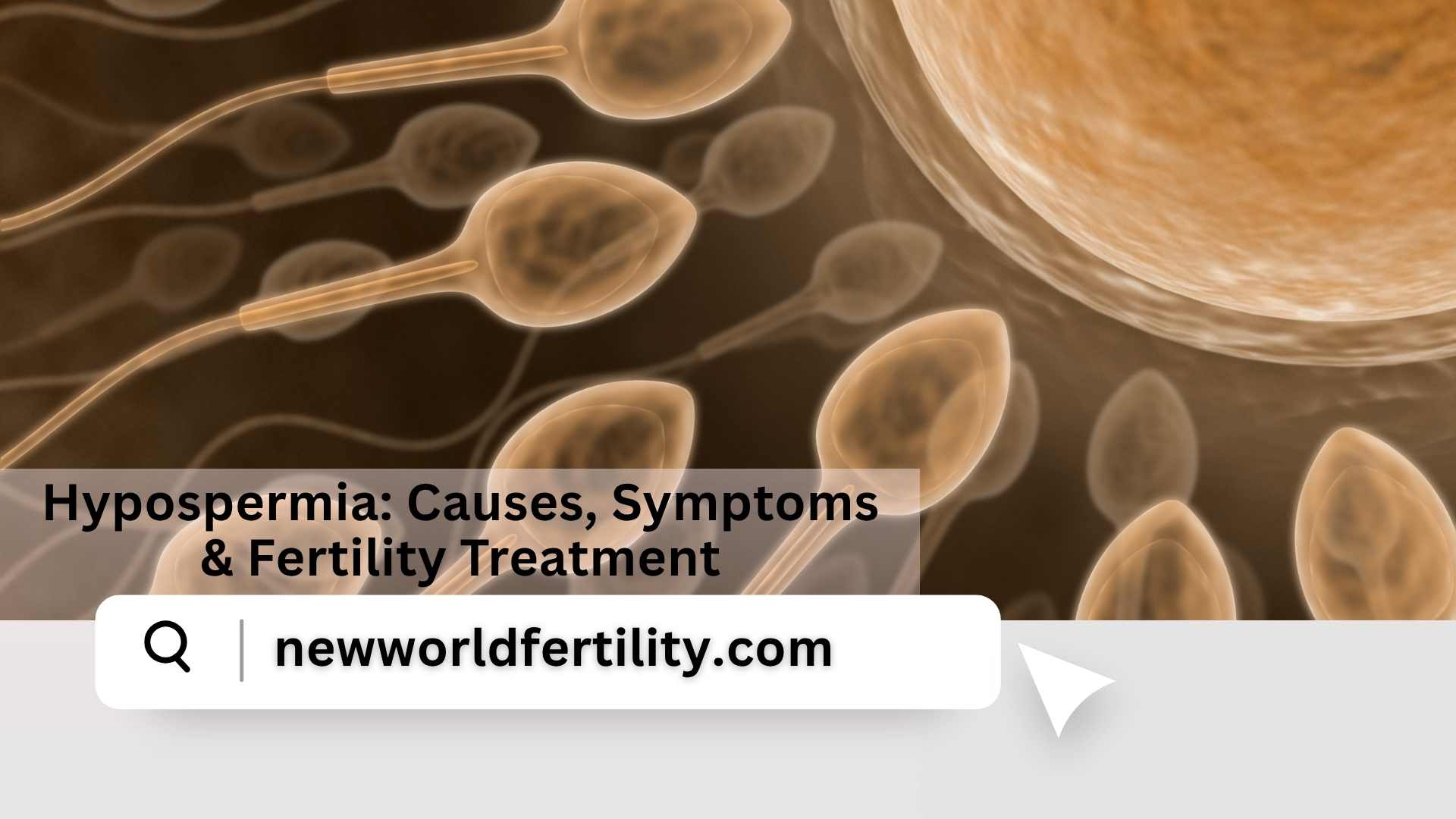 Hypospermia: Causes, Symptoms, Treatment, & Its Impact on Male Fertility