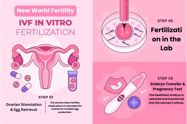 How High Blood Pressure (Hypertension) Affects Male Fertility 2025