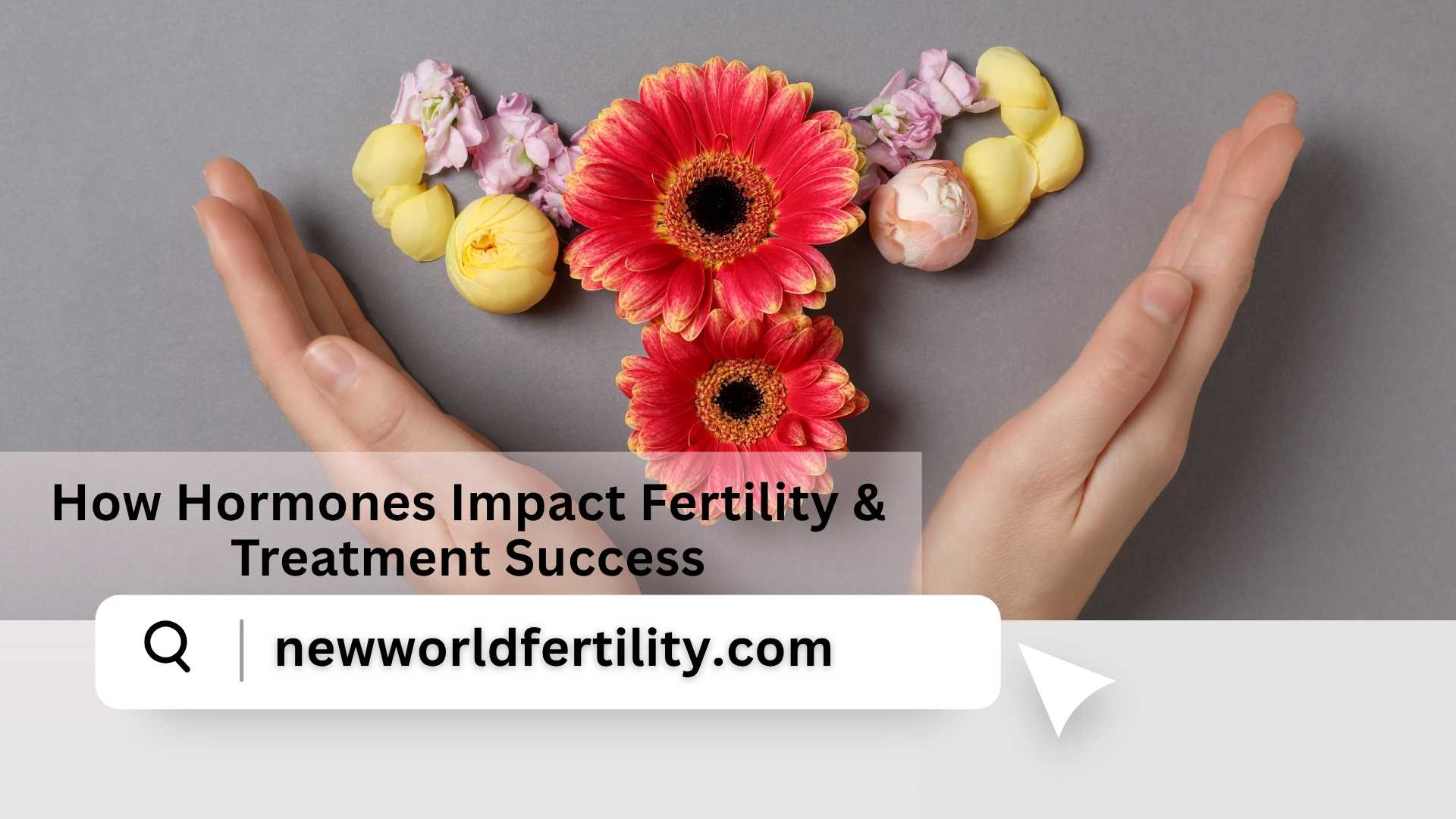 Hormonal Health and IVF: How Hormones Impact Fertility & Treatment Success