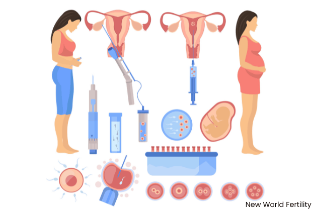 IVF Injections: Types, Schedule, Side Effects, & Success Tips