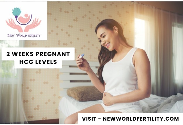 2 Weeks Pregnant: Beta hCG Levels (HCG Levels) 2025