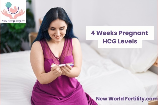 4 Weeks Pregnant: Understanding Beta-hCG Levels (2025)