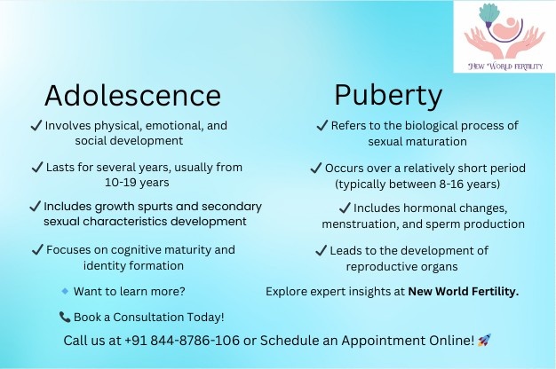 Puberty vs. Adolescence: Key Differences & Changes (2025)