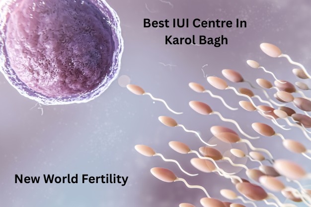 Best IUI Centre in Karol Bagh: Cost, Success Rates in 2025