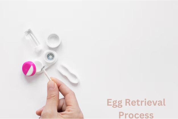 Understanding the Egg Retrieval Process