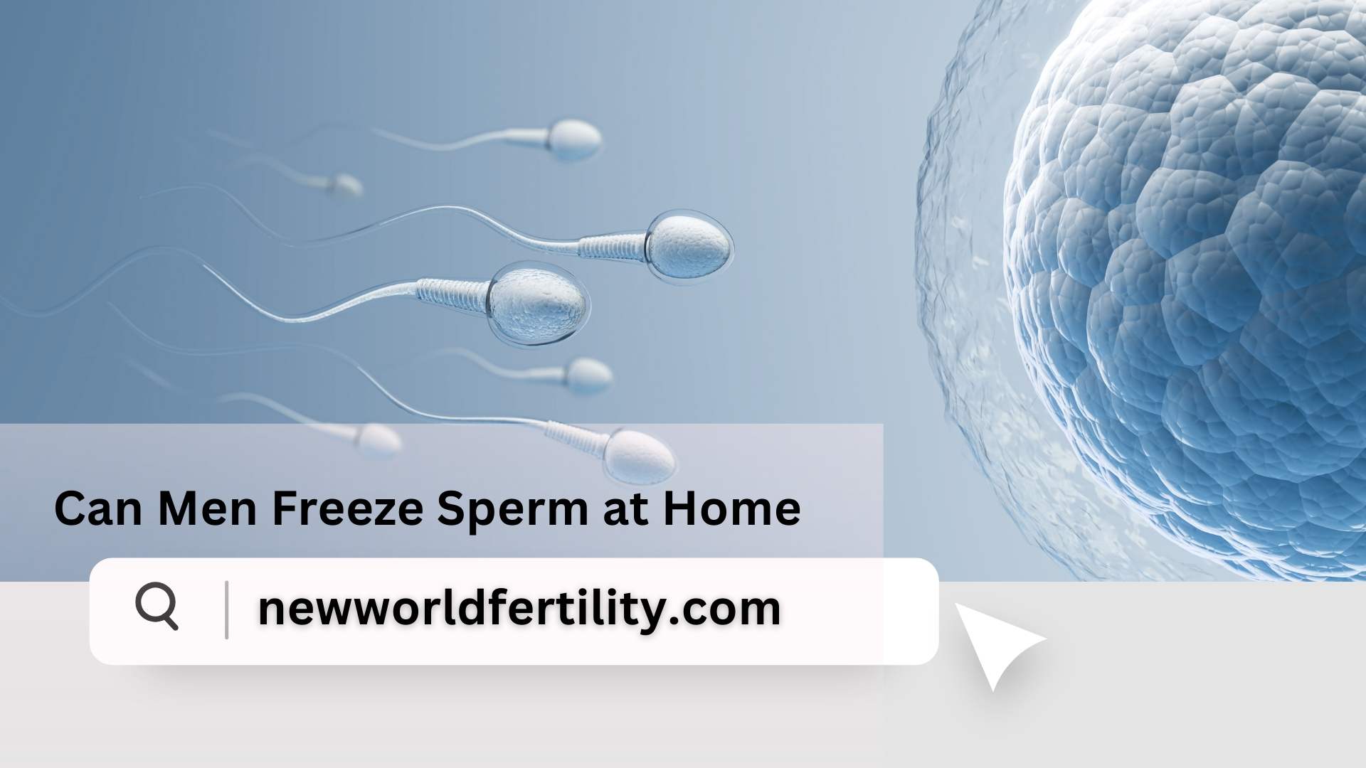 Can Men Freeze Sperm at Home? Risks and Realities
