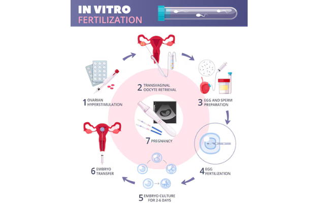 Best IVF Centre in Anand